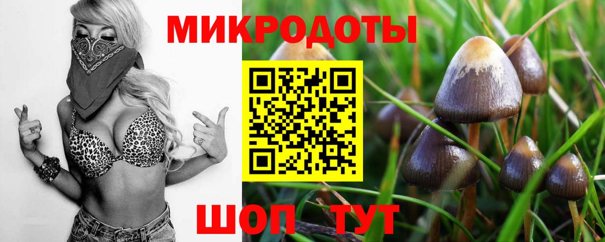 Сердобск  Псилоцибиновые грибы ЛСД  Вход с VPN 